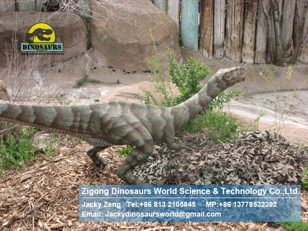 Life Size animatronic dinosaurs ( Coelophysis ) DWD006